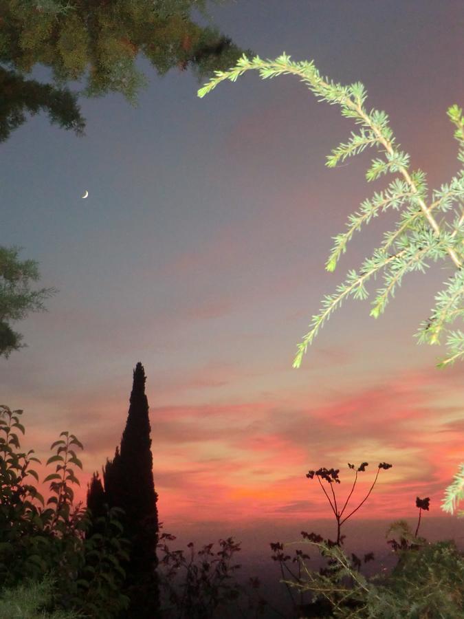 Bed and Breakfast Il Giardino Di Alisa Tivoli Exterior foto